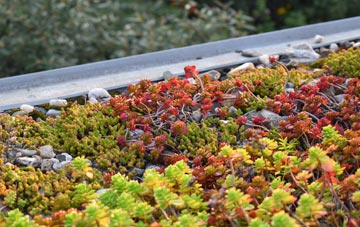 the cost of Broadbottom green roof installation