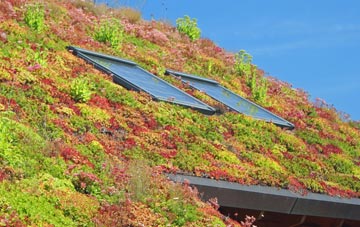 Broadbottom living roof systems